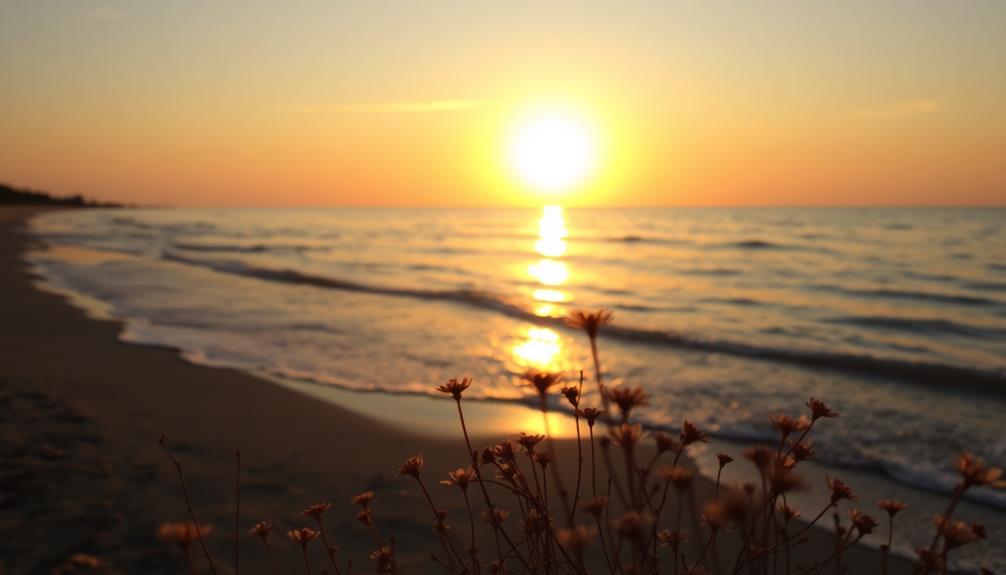 concluding reflections and insights