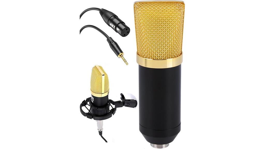 condenser microphone with accessories