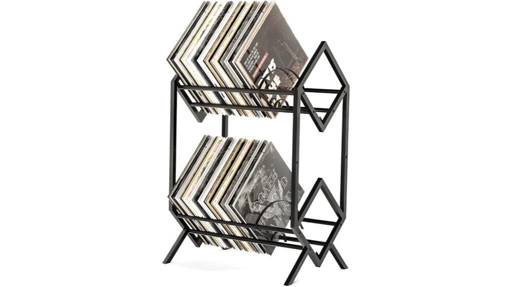 dual level vinyl organizer