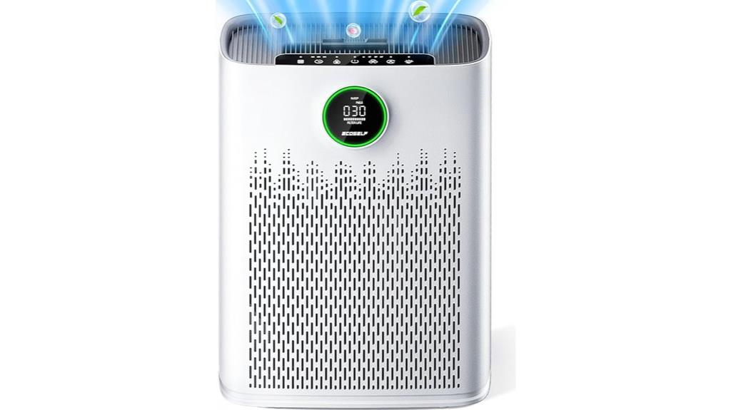 large room hepa purifier