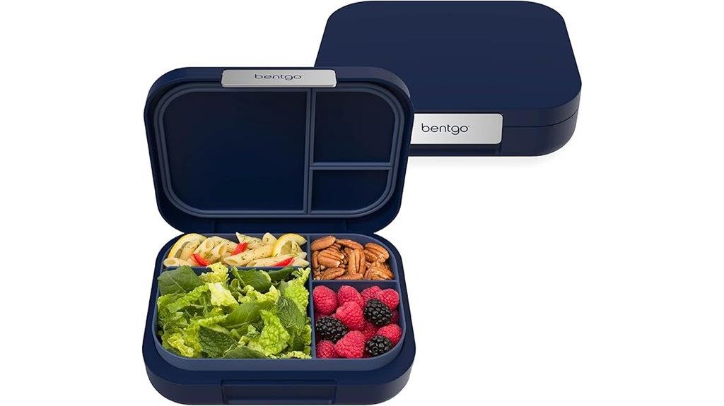 stylish adult bento container