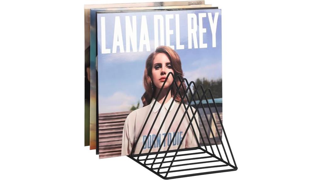 vinyl record storage organizer