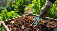 decomposition process in compost