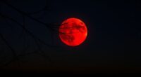 lunar eclipse date 2026