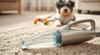 top pet carpet cleaning options