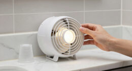 10 Best Bathroom Exhaust Fans With Light in 2026