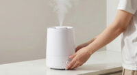 10 Best Humidifiers for Large Rooms in 2026