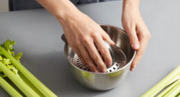 12 Best Juicers for Celery Juice in 2026