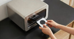 13 Best Clothing Steam Cabinets Home Use in 2026