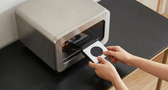 13 Best Clothing Steam Cabinets Home Use in 2026
