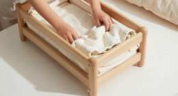 4 Best Best Bassinets For Newborns Bedside In 2026