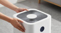 6 Best Whole House Air Purifiers in 2026