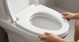 7 Best Best Bidet Toilet Seats Heated in 2026