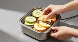 7 Best Food Dehydrators Stainless Steel in 2026