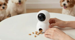 7 Best Pet Cameras With Treat Dispenser in 2026