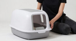 9 Best Best Cat Litter Boxes Automatic in 2026