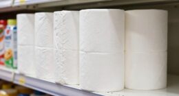 store brand paper towel manufacturers