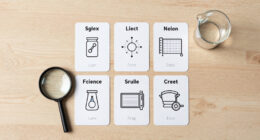 10 Best Science Reference Flashcards in 2026
