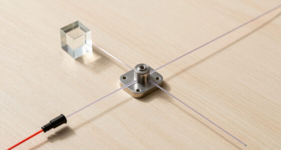 Can you split a photon in half? Key facts explained