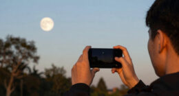Look up Monday evening for the full strawberry moon