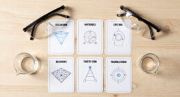 11 Best Science Reference Flashcards in 2026