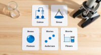 9 Best Science Reference Flashcards in 2026