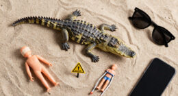 Alligators injure three, one fatally, in string of attacks in Florida