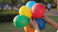 Computational Balloon Twisting: The Theory Of Balloon Polyhedra [Pdf]