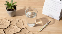 Next Major Heatwave In Vienna Approaches - Drought Will Intensify Further - Vienna.at